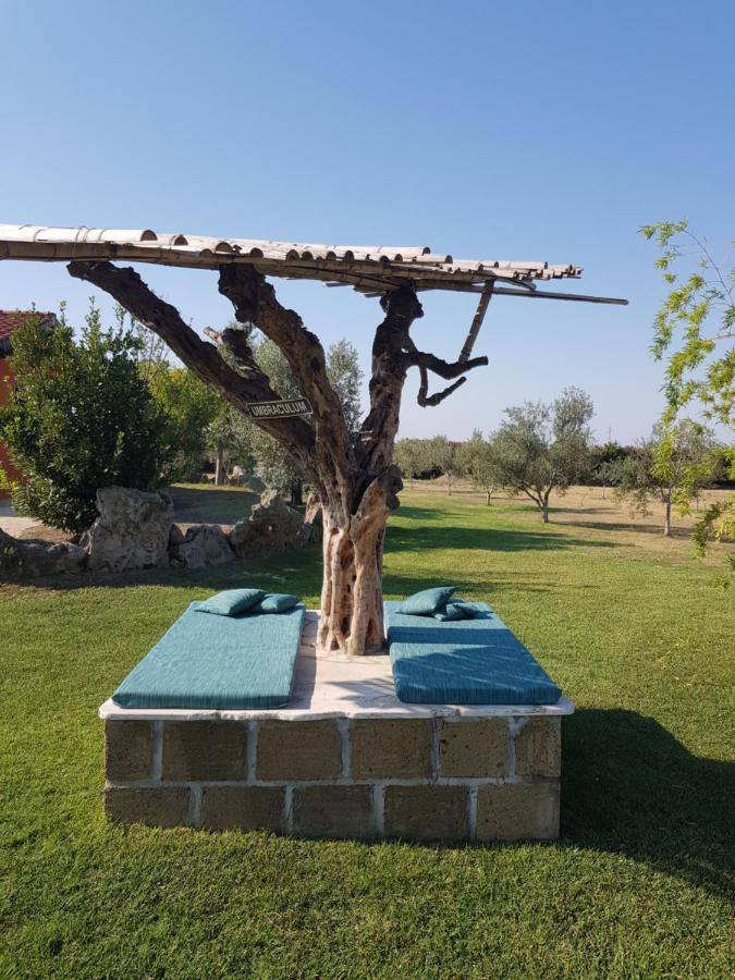 בית הארחה Canino 	Casa Daniele מראה חיצוני תמונה