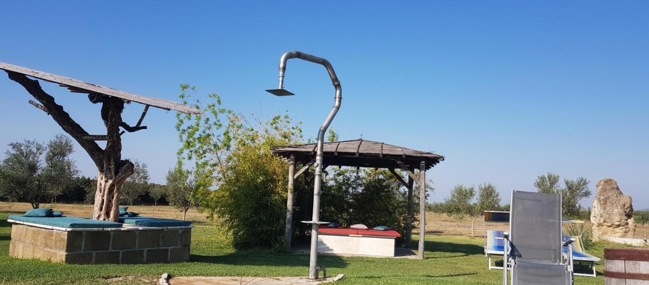 בית הארחה Canino 	Casa Daniele מראה חיצוני תמונה