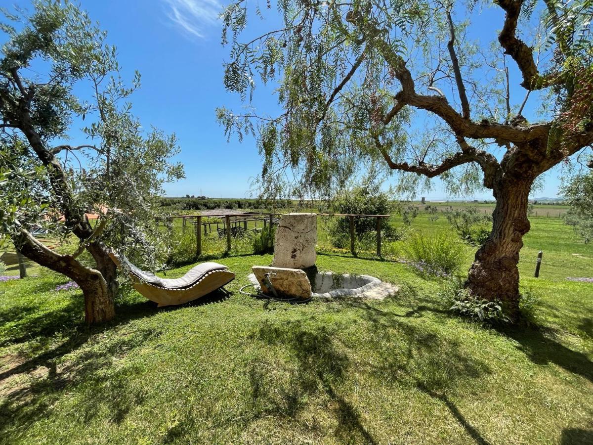 בית הארחה Canino 	Casa Daniele מראה חיצוני תמונה